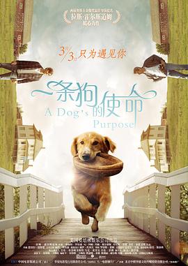 qq弹弹超大幅度跳舞视频